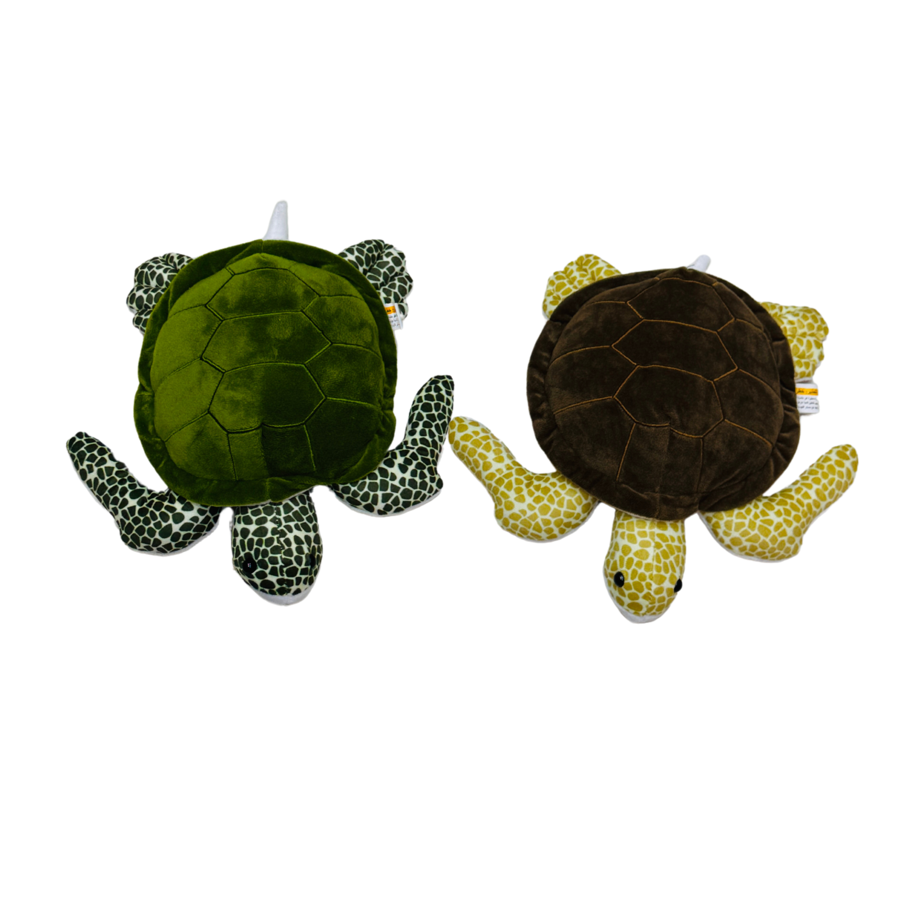 25CM TURTEL 2 CLRS