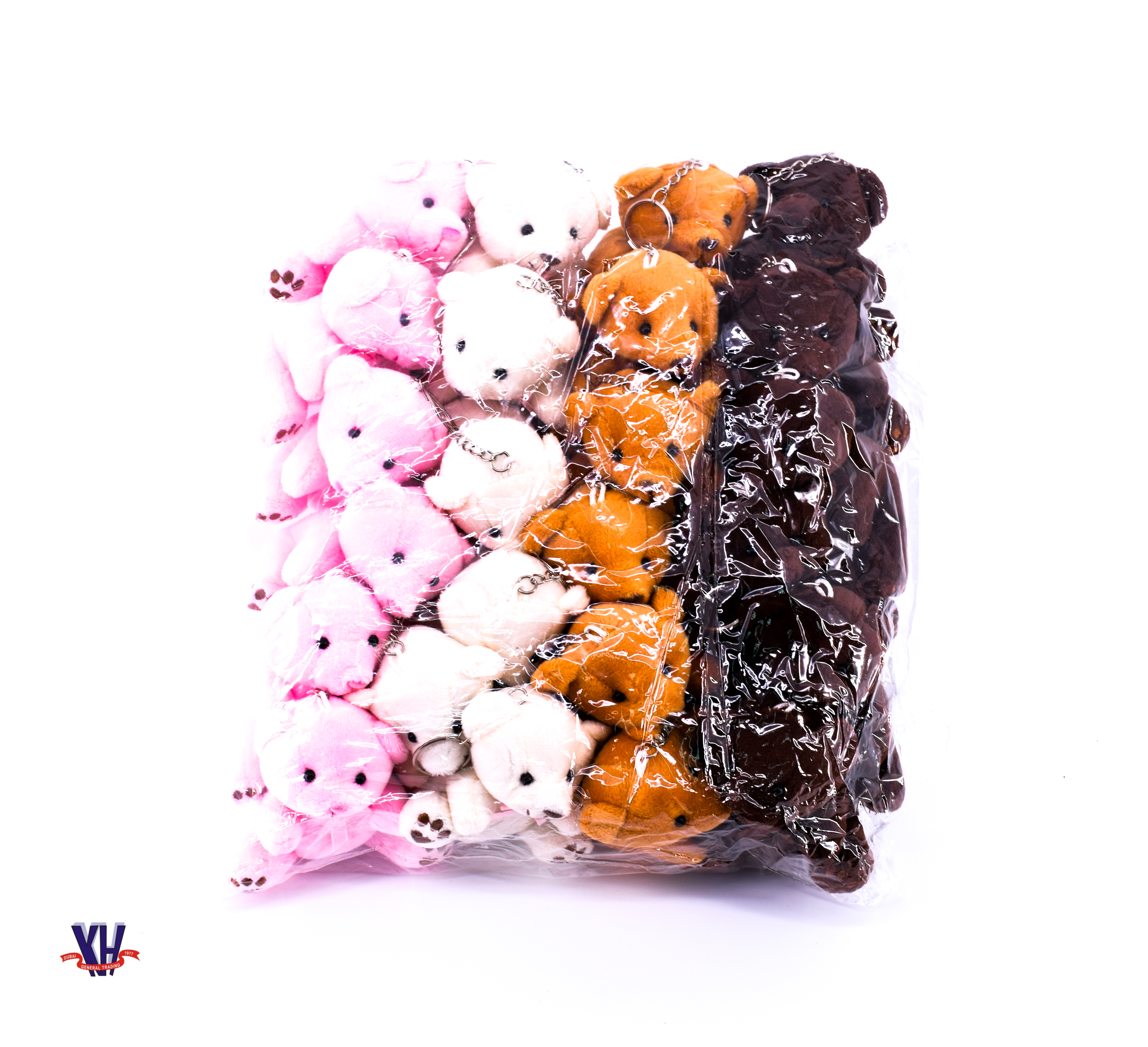 Teddy Bear Key holder