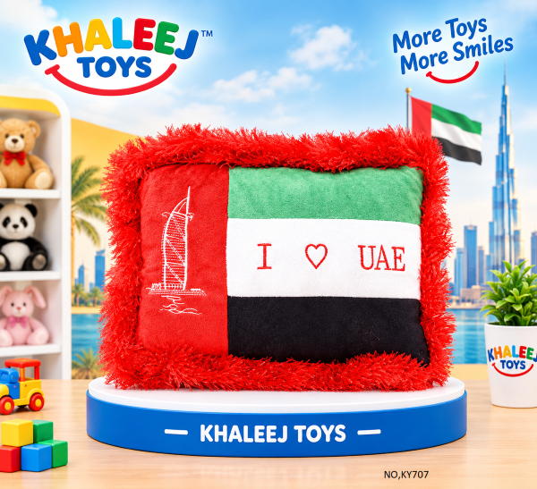 UAE Flag pillow