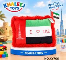 UAE Flag pillow