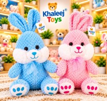 SOFT TOYS