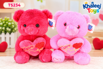 25CM BEAR 2 CLRS  