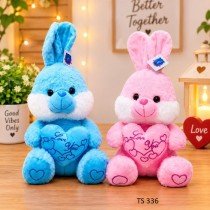 30CM RABBIT 2 CLRS